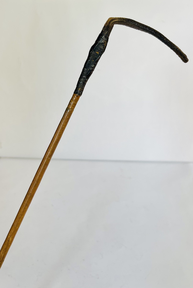 Whip -photo-3